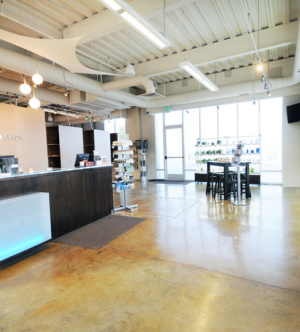 landis-lifestyle-salon-in-marmalade-utah